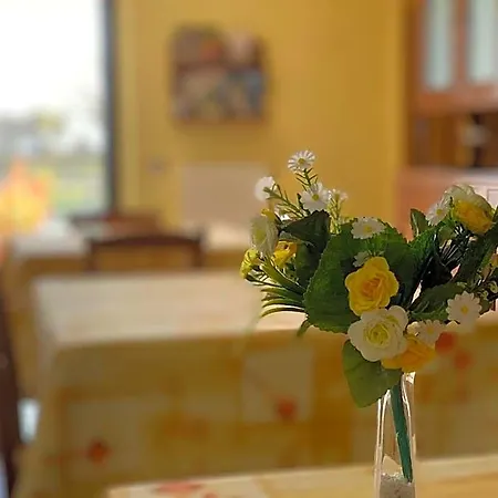 Alojamento de Acomodação e Pequeno-almoço Doremi Osimo